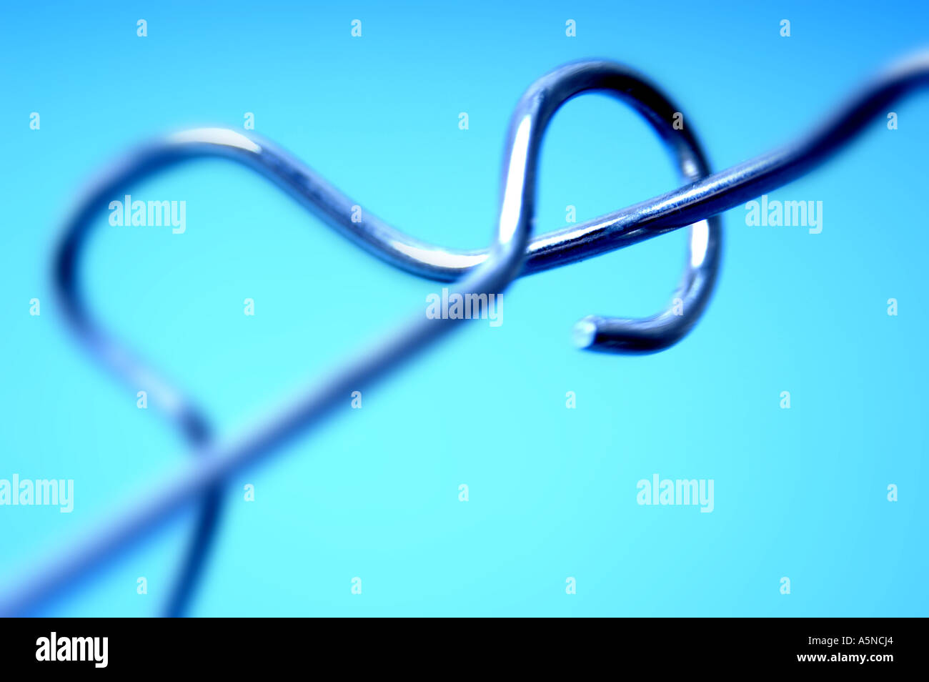 Buzz le jeu Banque D'Images