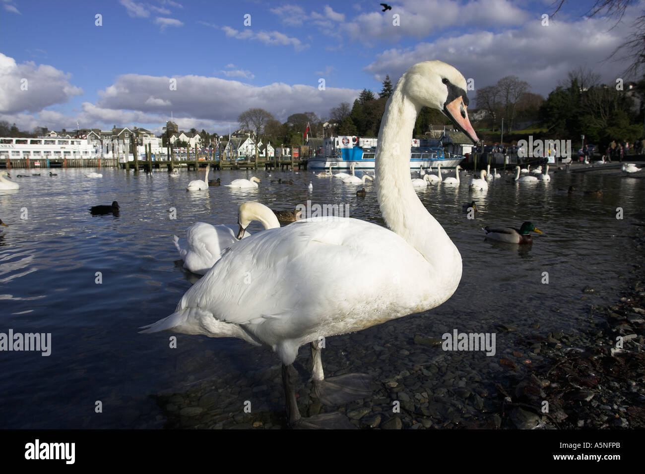 Vues autour de Bowness-on-Windermere Cumbria UK Banque D'Images