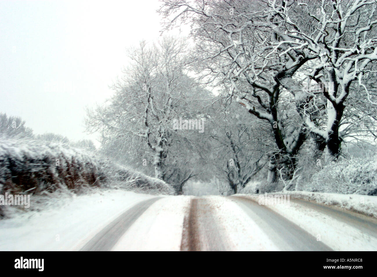 Route de campagne pendant les chutes de neige Banque D'Images