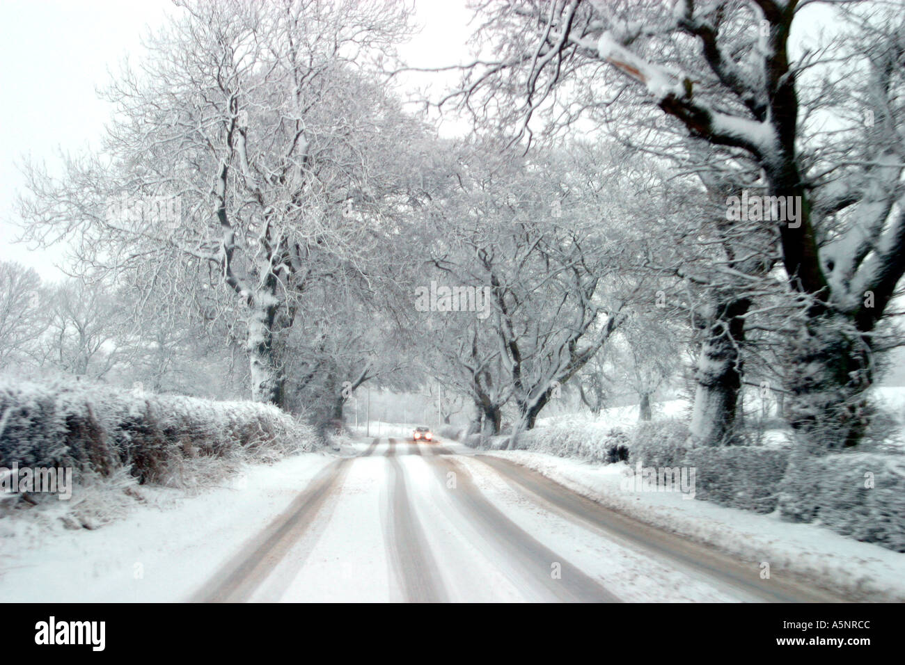 Route de campagne et voiture avec des lumières dans la neige Banque D'Images