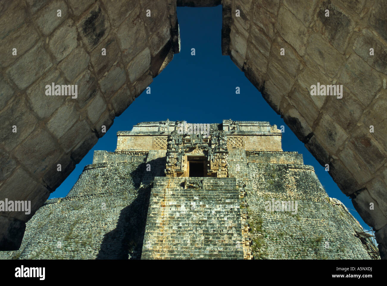 Piramide del Adivino Pyramide (magiciens), ruines mayas de Puuc Ruta, Uxmal, Yucatan, Mexique Banque D'Images