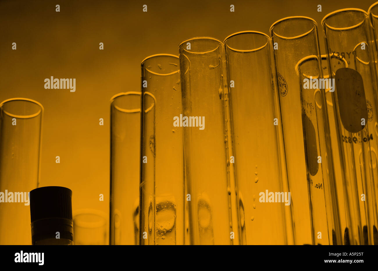 Testtubes sur fond jaune. Banque D'Images