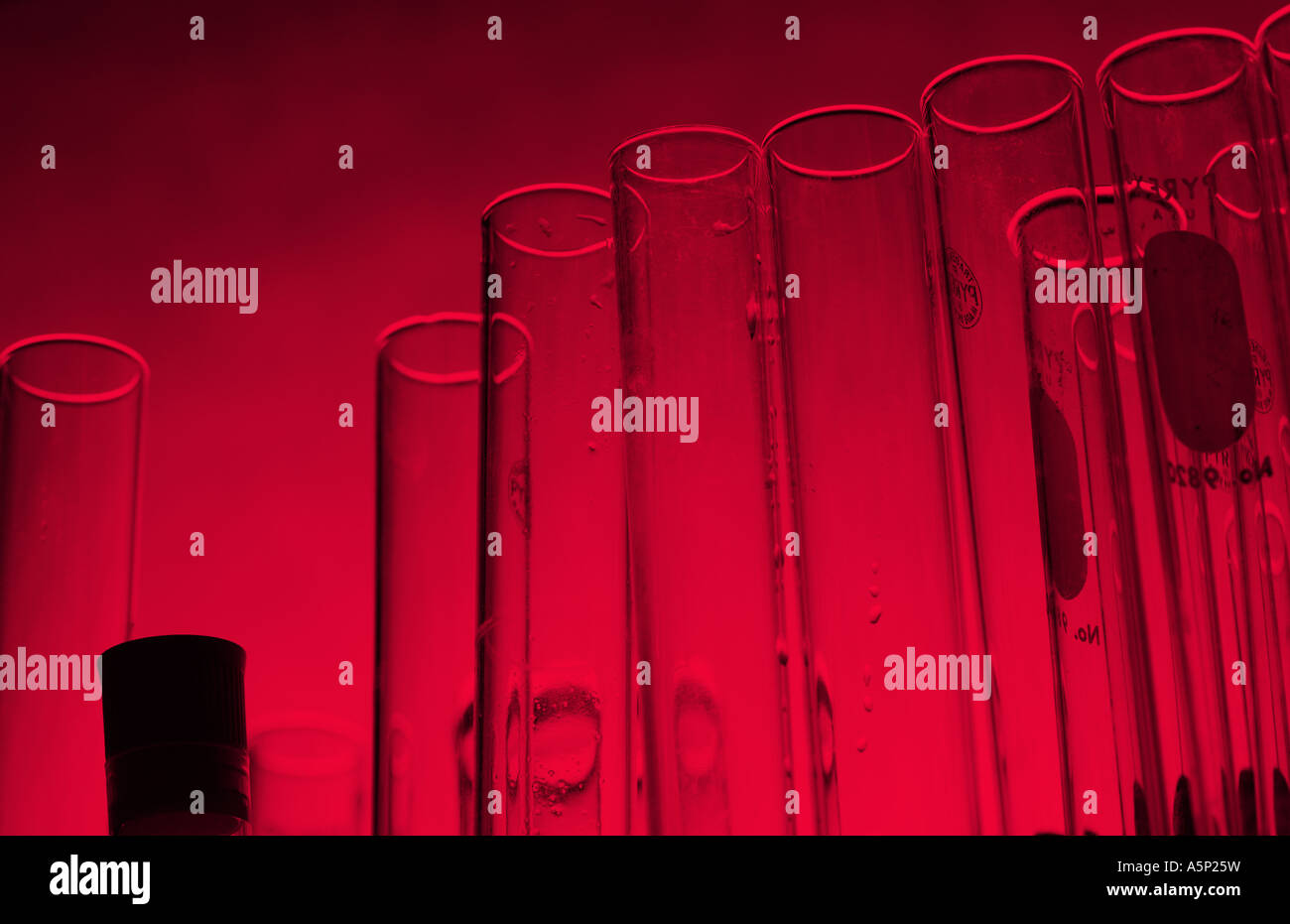 Testtubes rouge utilisé en médecine et de la recherche scientifique. Banque D'Images