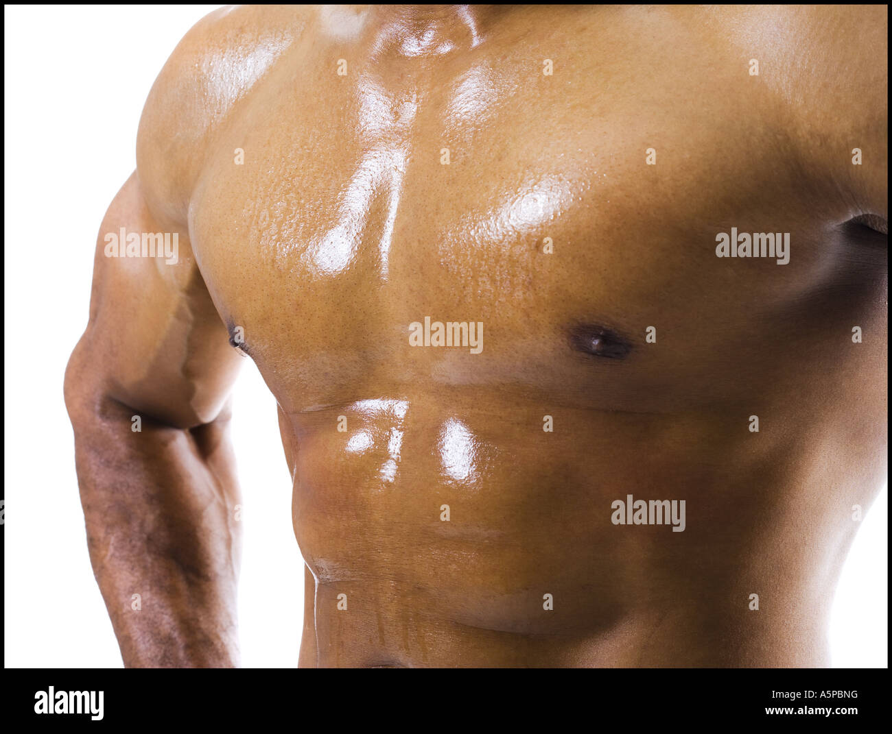 Male bodybuilder Banque D'Images