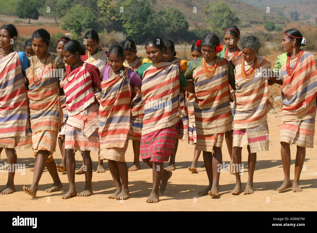 Les femmes des tribus Gadaba effectuer la traditionnelle danse Dhemsa pour récolte dans le district de Koraput d'Orissa Insia Banque D'Images