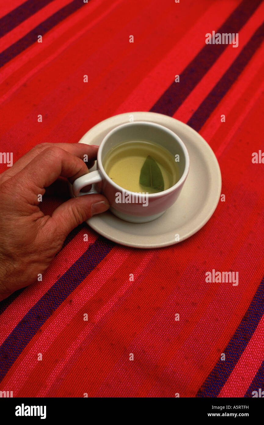 Pérou Juliaca thé cacao Mate Banque D'Images