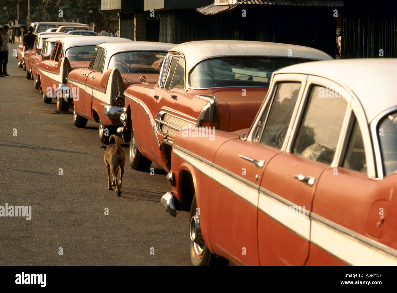 VIETNAM, vieilles voitures américaines DANS LA RUE LE LONG DE LA DOUBLURE ROUGE BLANC À SAIGON UN CHIEN MARCHE DERNIÈRES Banque D'Images