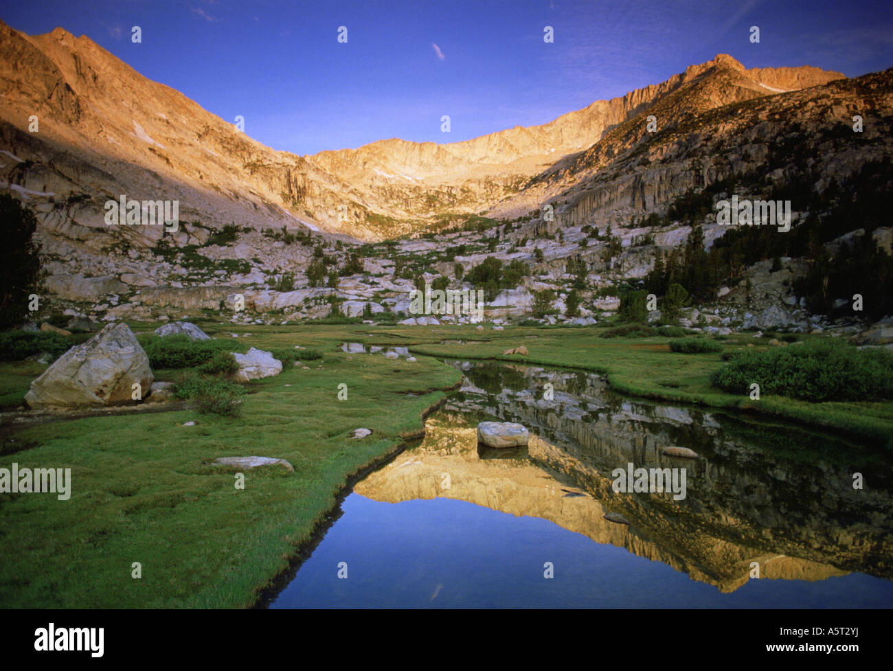 Reflet dans un mont Conness tarn glaciaires Yosemite National Park California Banque D'Images