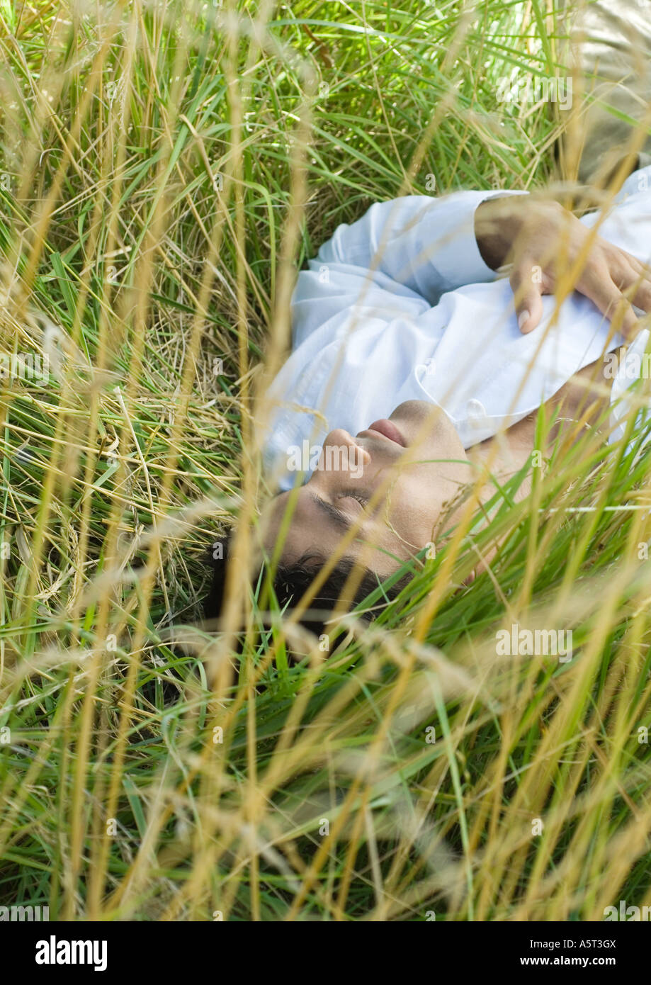 Homme couché dans l'herbe haute, les yeux fermés Photo Stock - Alamy