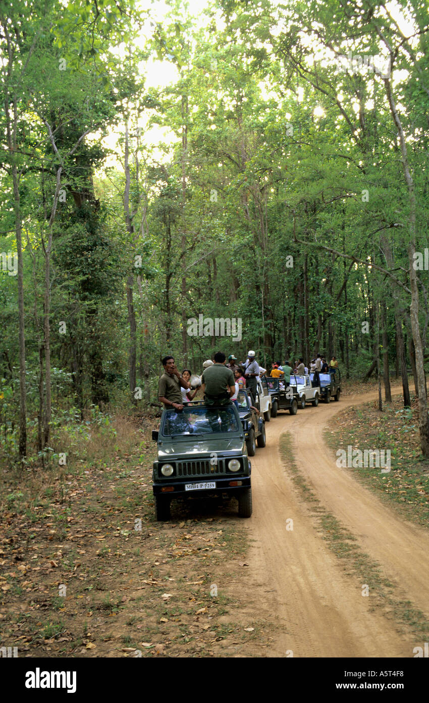 La ligne de véhicule en attente de leur nombre à Tiger à Kanha National Park en Inde Banque D'Images