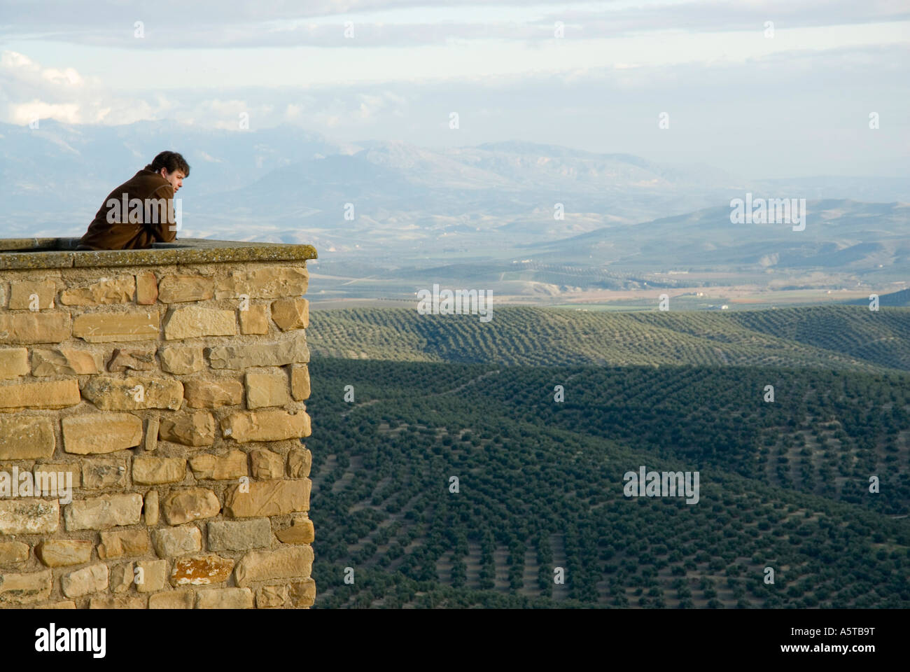Olivier Ubeda Jaen Province Region Andalousie Espagne Photo Stock Alamy