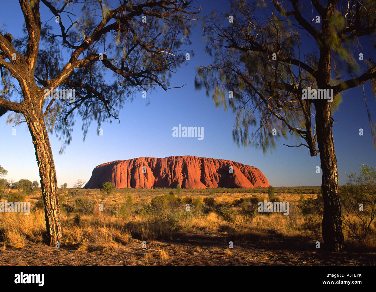 Uluru, Australie II Banque D'Images