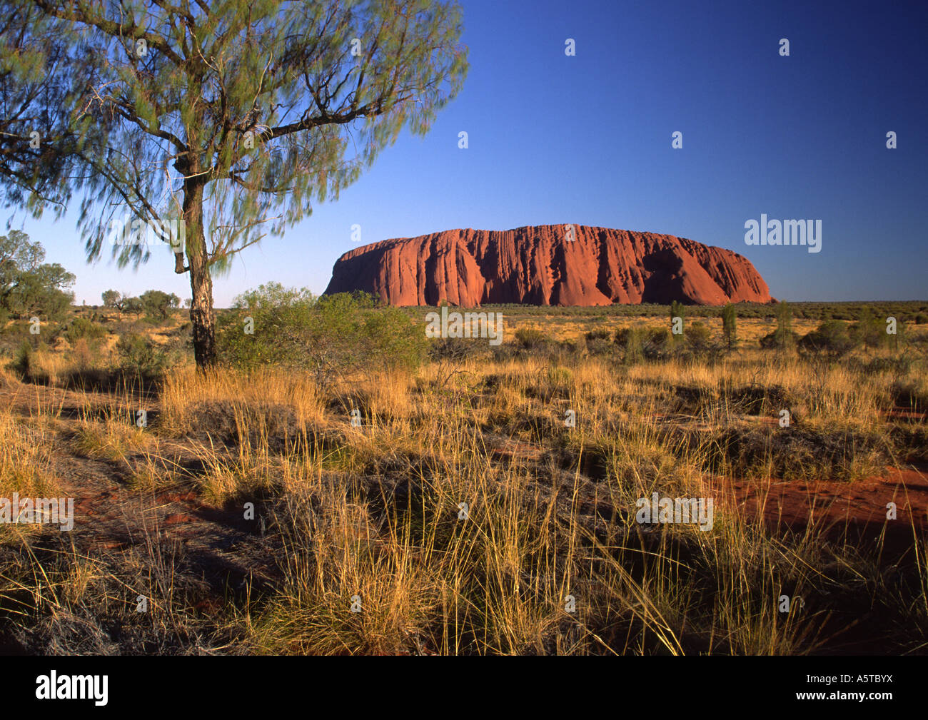 Uluru, Australie Banque D'Images