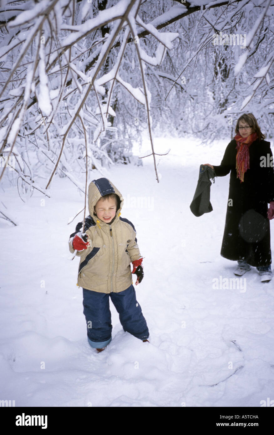 Pologne, garçon d'essayer de se débarrasser de la neige d'un arbre Banque D'Images