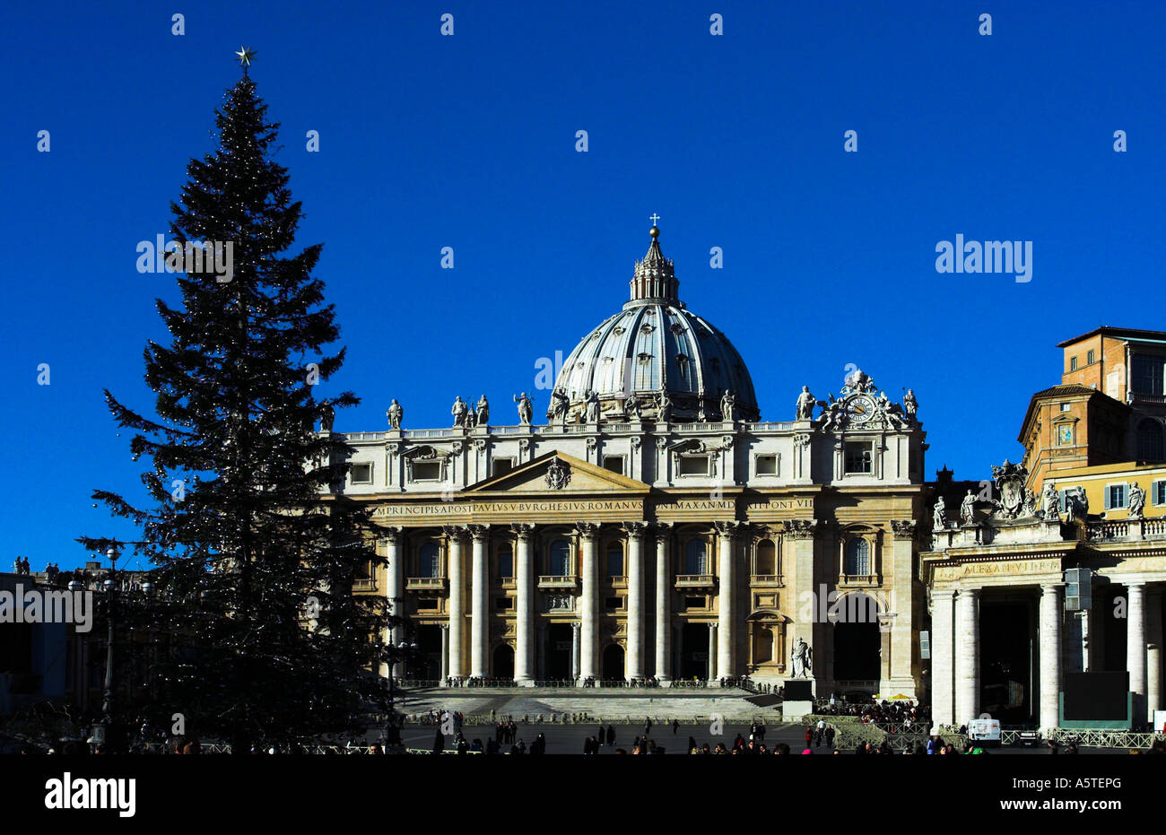 Arbre de Noël et basilique. La Place Saint Pierre, à Rome. Banque D'Images