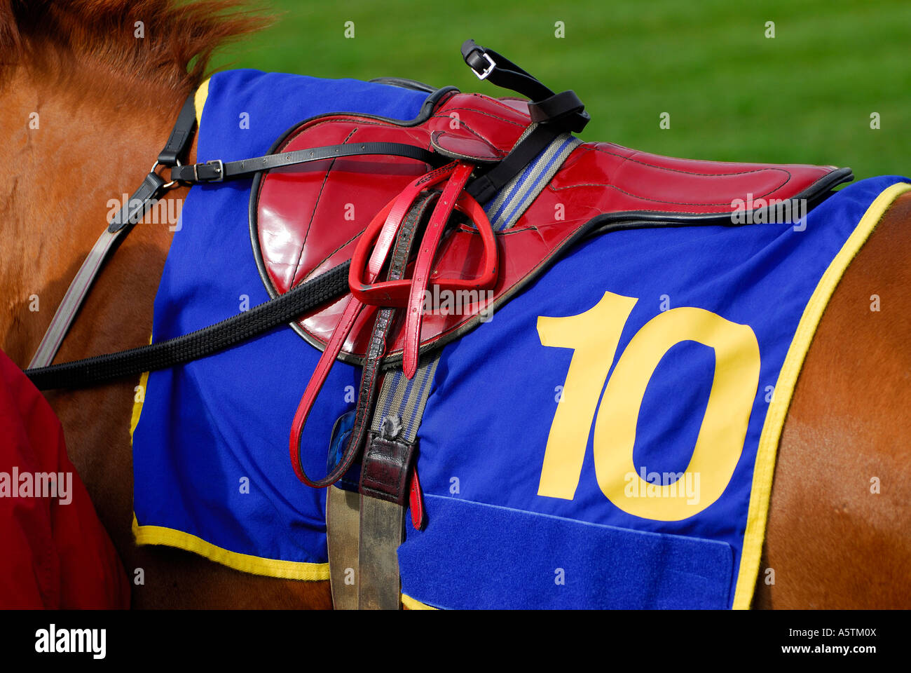 Selle de loisir pour cheval de Trait