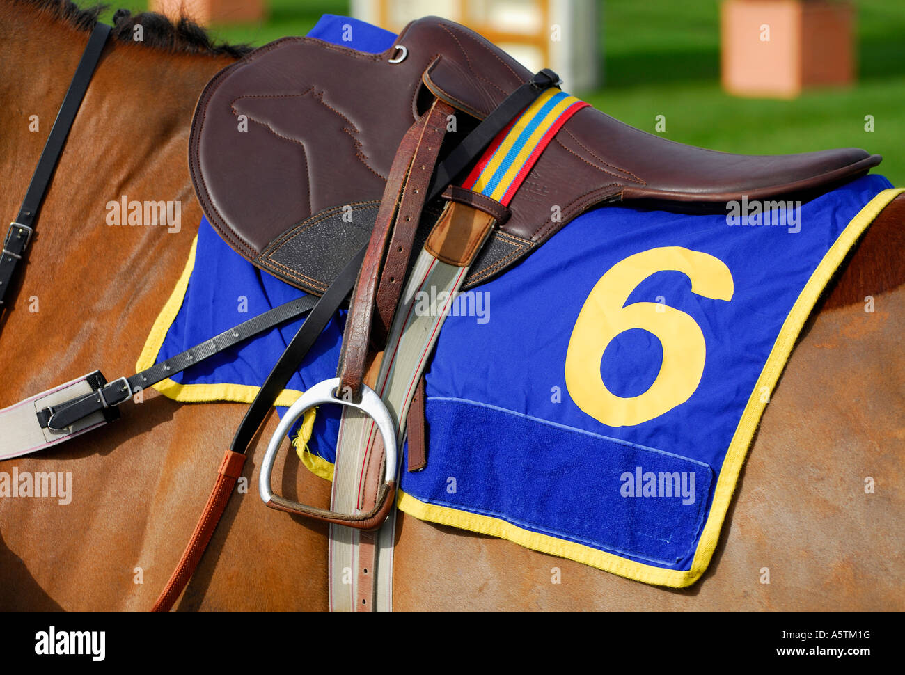 Selle de cheval de course Photo Stock - Alamy