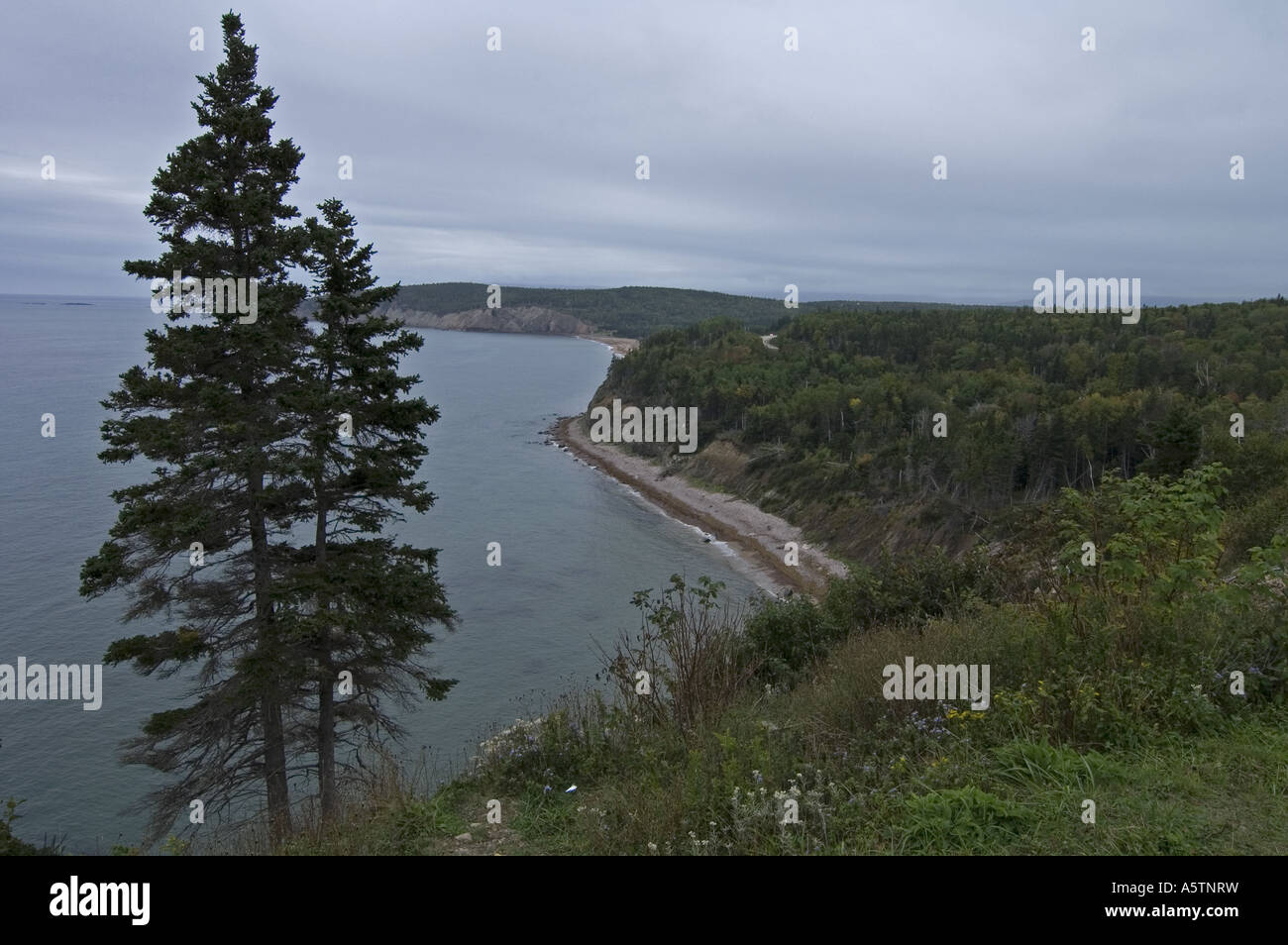 Cape Breton Highlands Parc Nat Nova Scotia Canada Banque D'Images