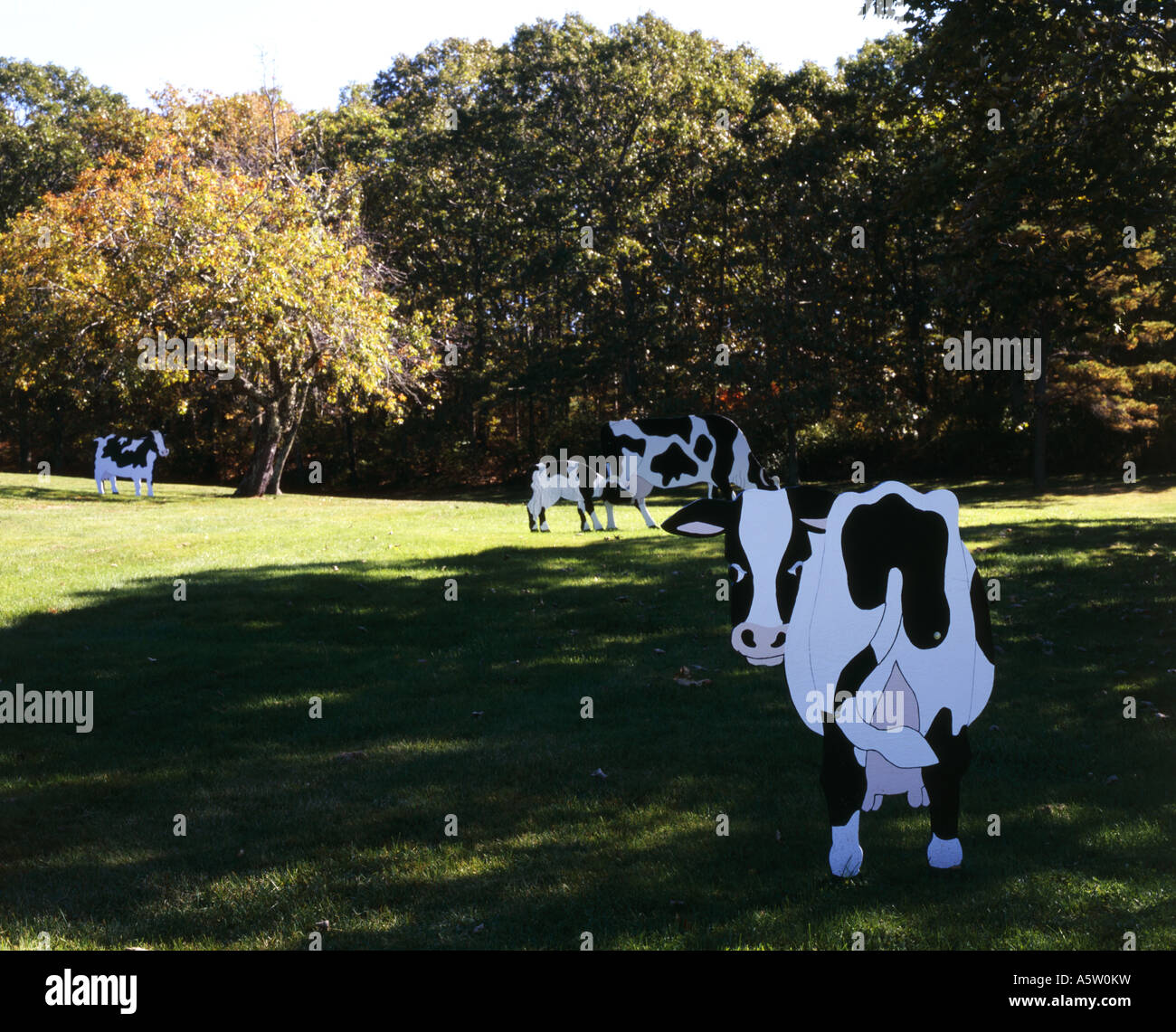 Découper le carton grandeur nature vaches décorer la grande pelouse d'une  maison privée,Martha's Vineyard, Massachusetts, États-Unis Photo Stock -  Alamy