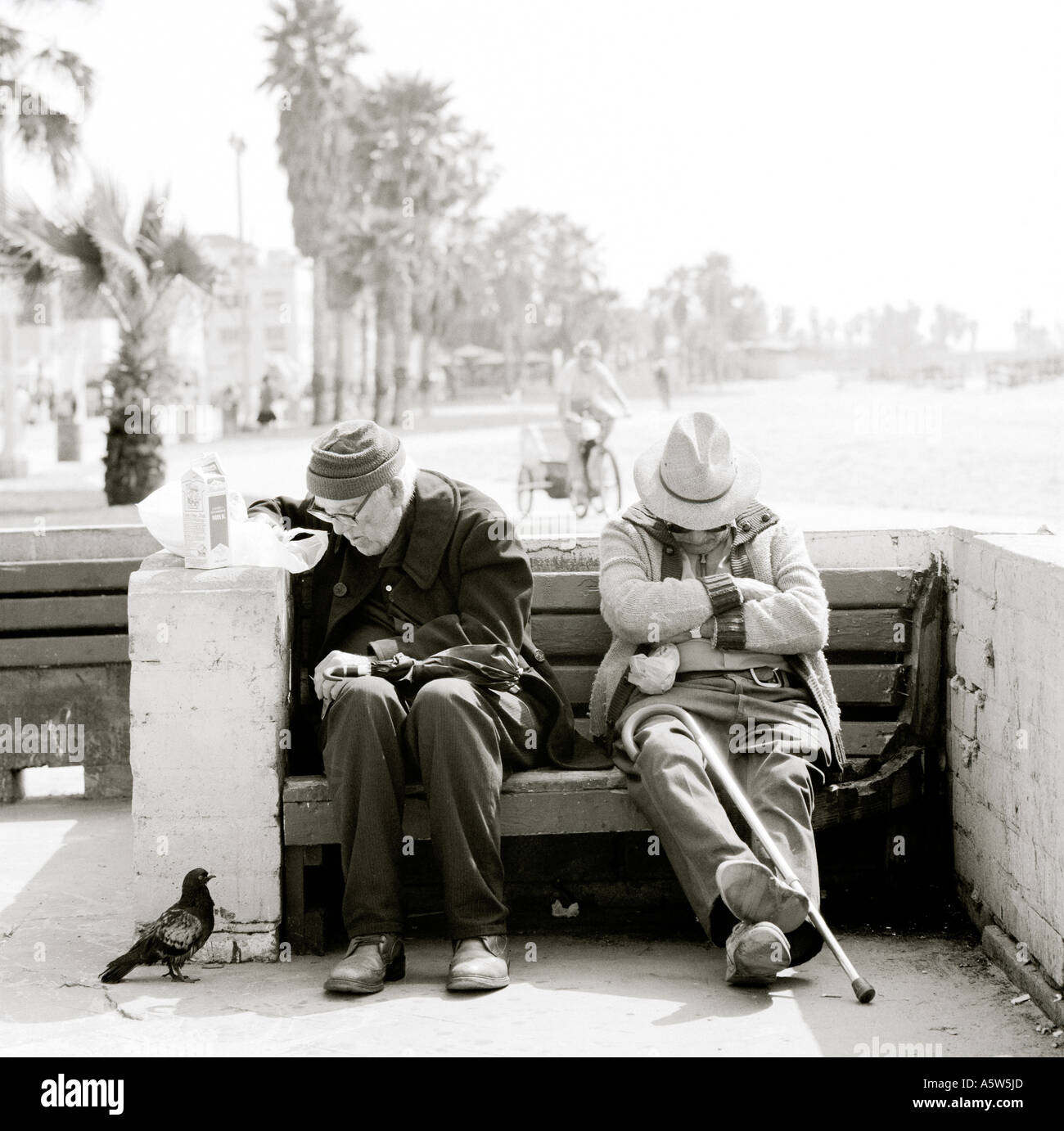 La vie moderne. Venice Beach à Los Angeles en Californie aux États-Unis d'Amérique. Voyages USA Banque D'Images