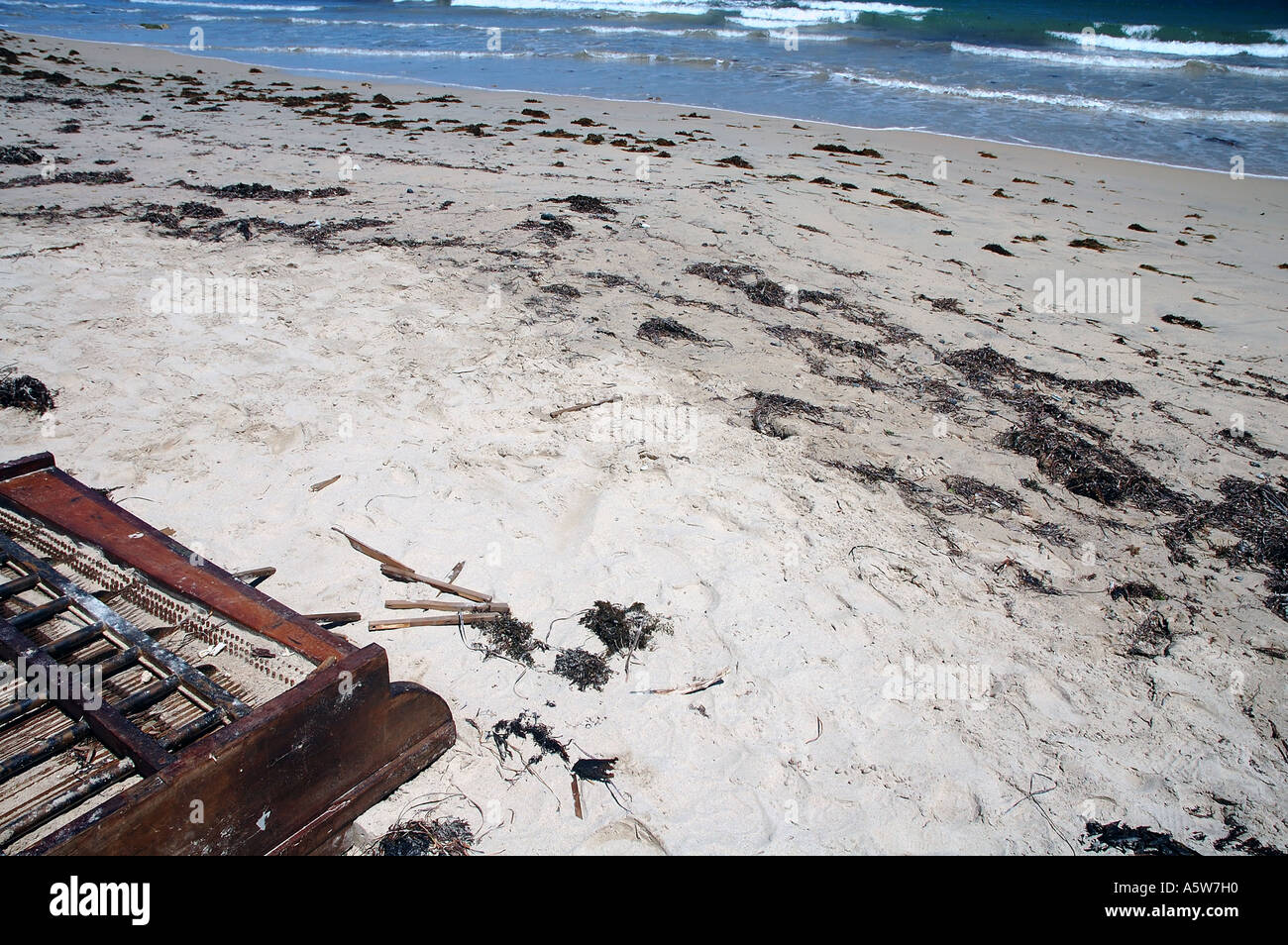 Grand piano ruiné échoués sur la plage avec des algues et autres débris flottants Banque D'Images