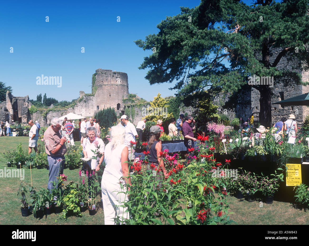 Flower Show Caldicot Monmouthshire Château 47984DM1 Banque D'Images