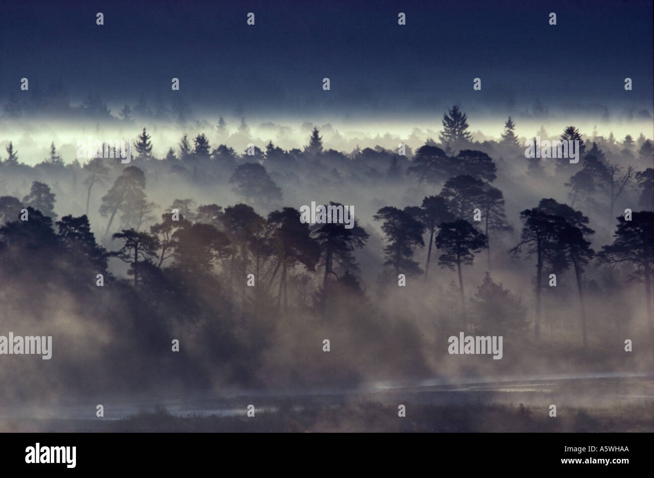 La rivière Isar dans Pupplinger Au Wolfratshausen Allemagne Bavière Banque D'Images