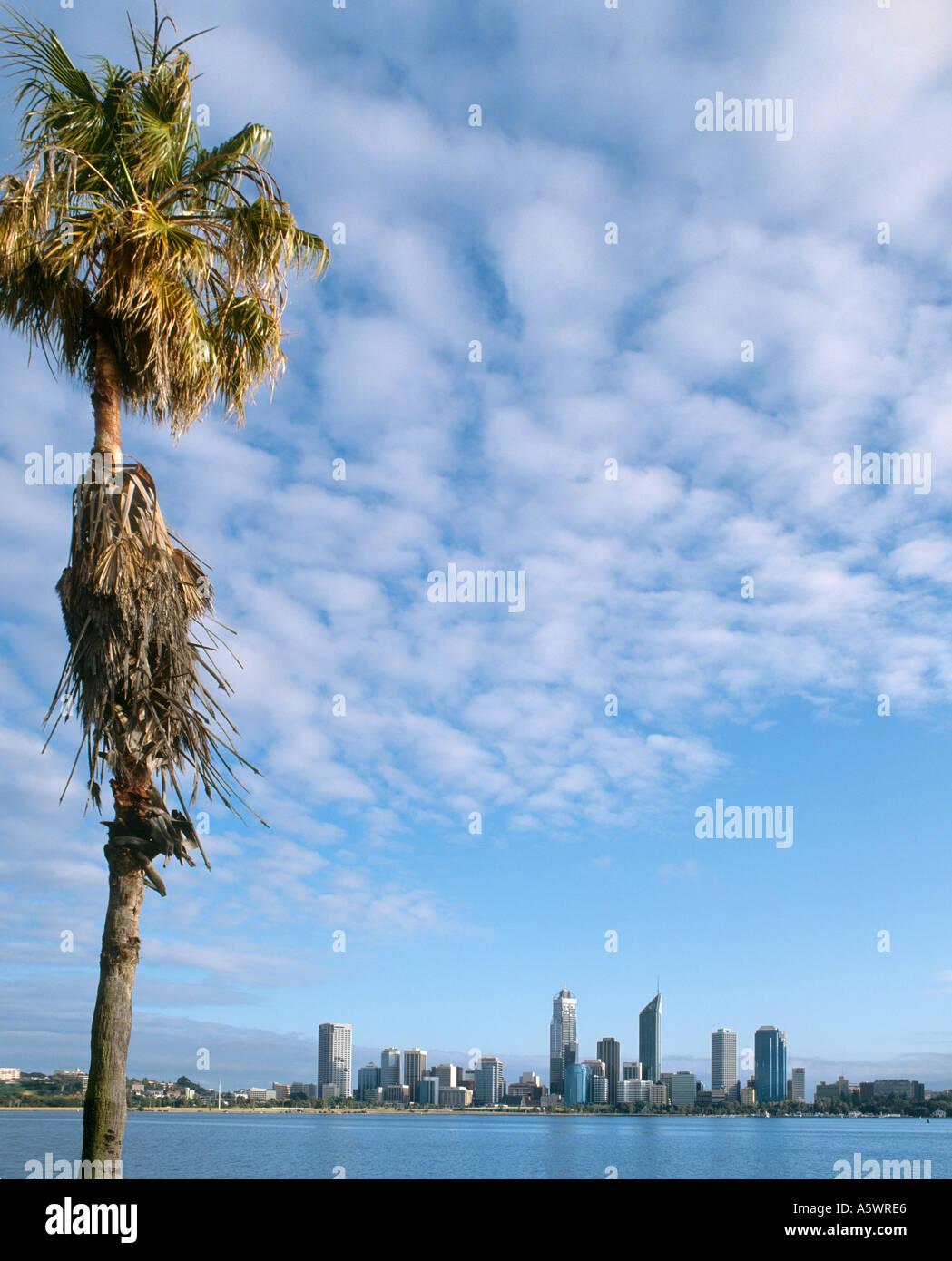 Tôt le matin sur la ville de South Perth, Perth, Western Australia, Australia, prises en 1993 Banque D'Images