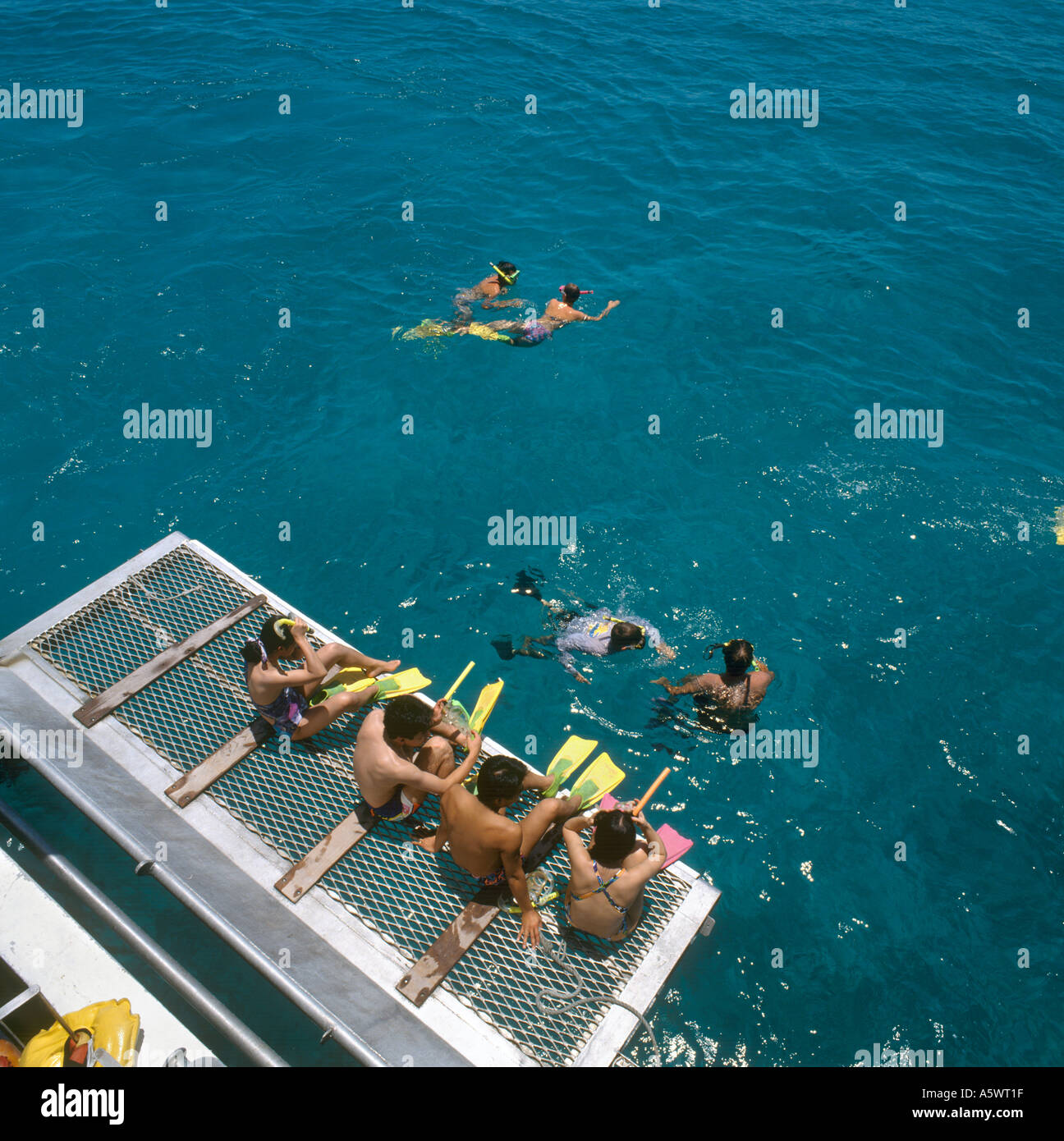 Plongée avec tuba au large de l'arrière du catamaran, excursion de la Grande Barrière de Corail, Cairns, Queensland du Nord, Australie Banque D'Images
