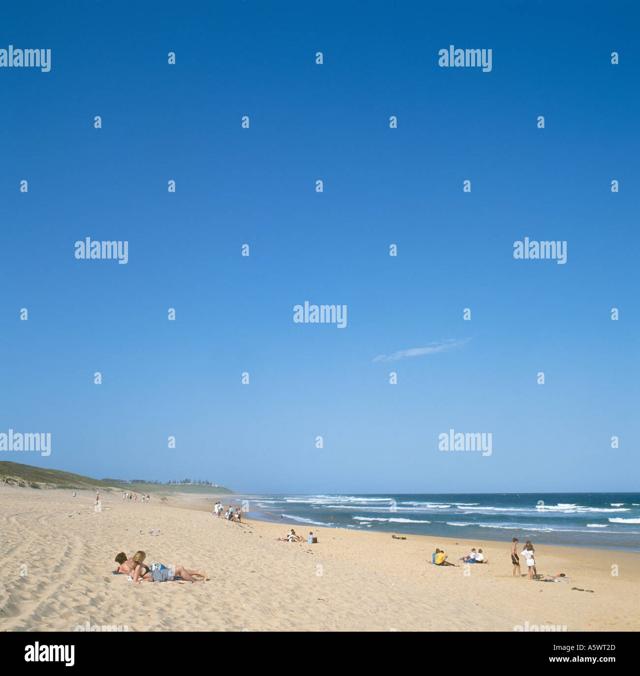 Plage de Bateau Bay, l'entrée, 100km au nord de Sydney, New South Wales, Australia Banque D'Images