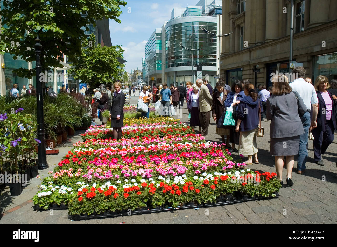 Fleurs à vendre à un marché de rue, St Ann's Square, Manchester, UK Banque D'Images