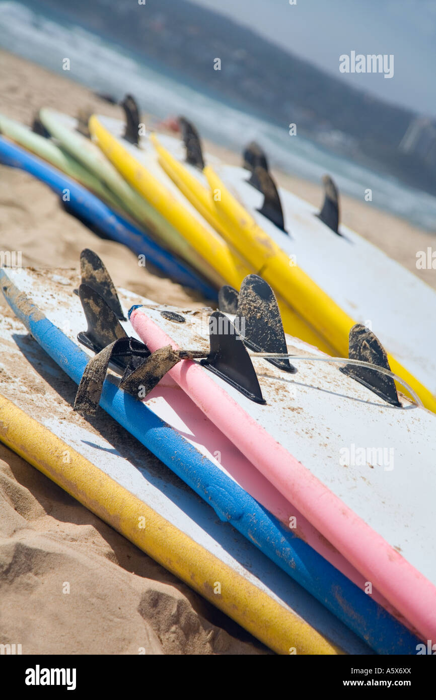 Les planches sur la plage - Sydney, Nouvelle Galles du Sud EN AUSTRALIE Banque D'Images