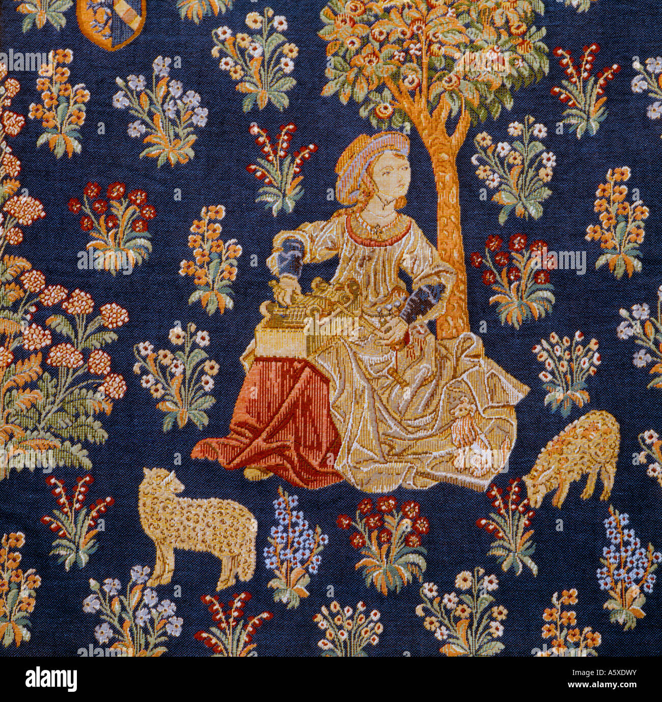 Tissé Femme & Instrument de musique Belgique Banque D'Images