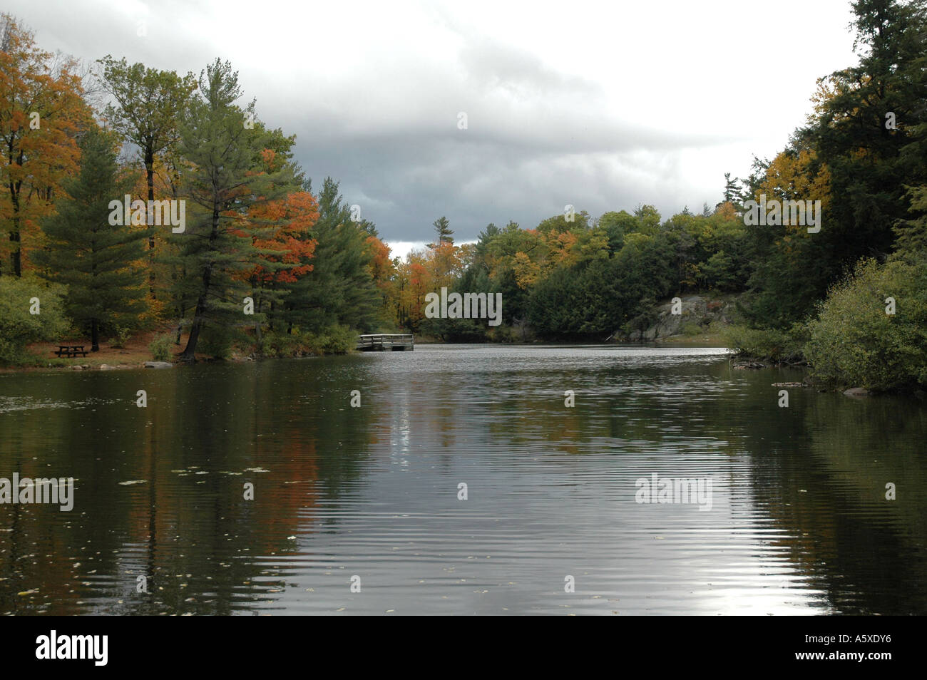 Vue sur le lac dans la forêt de Gatineau à l'Automne, Ottawa, Canada Banque D'Images