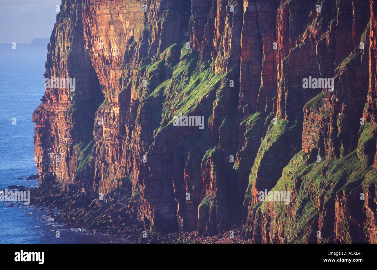 Les falaises de St John's Head, Hoy, îles Orkney, Ecosse Banque D'Images