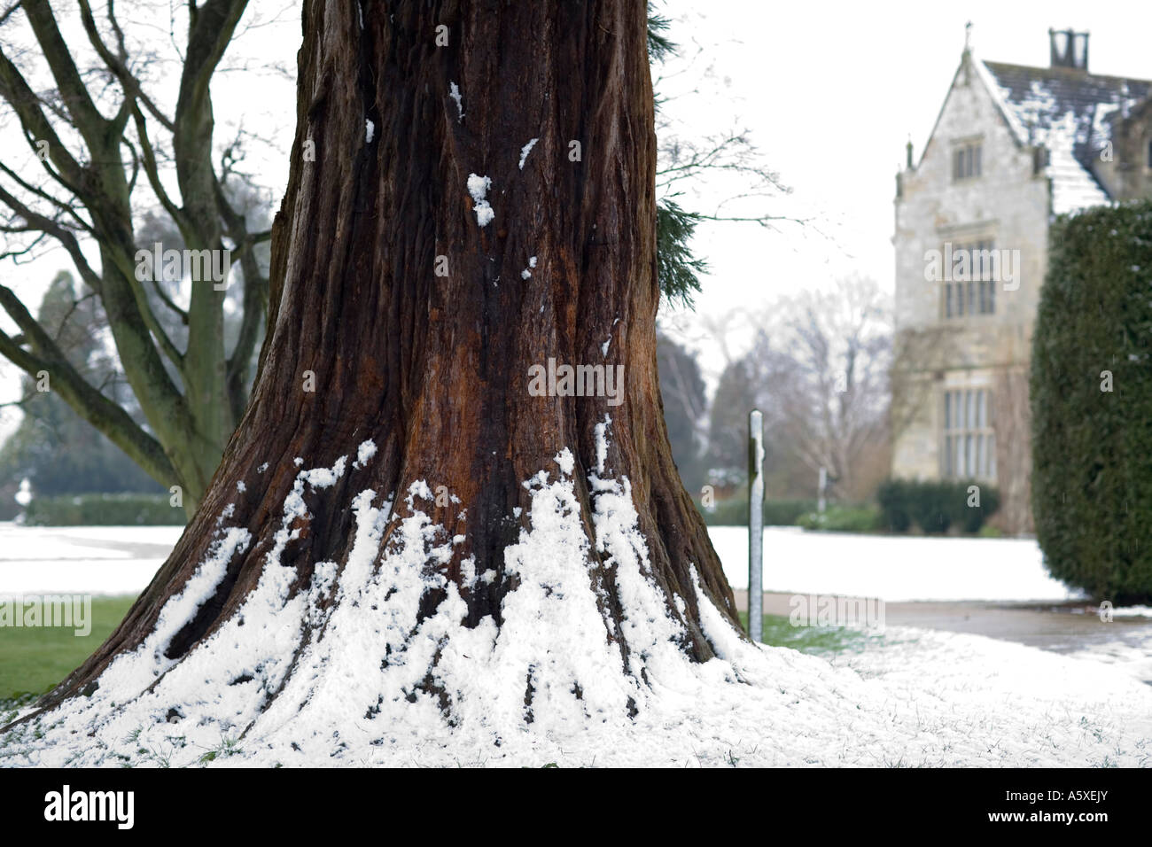 Wakehurst Place. Ardingly, West Sussex England Banque D'Images