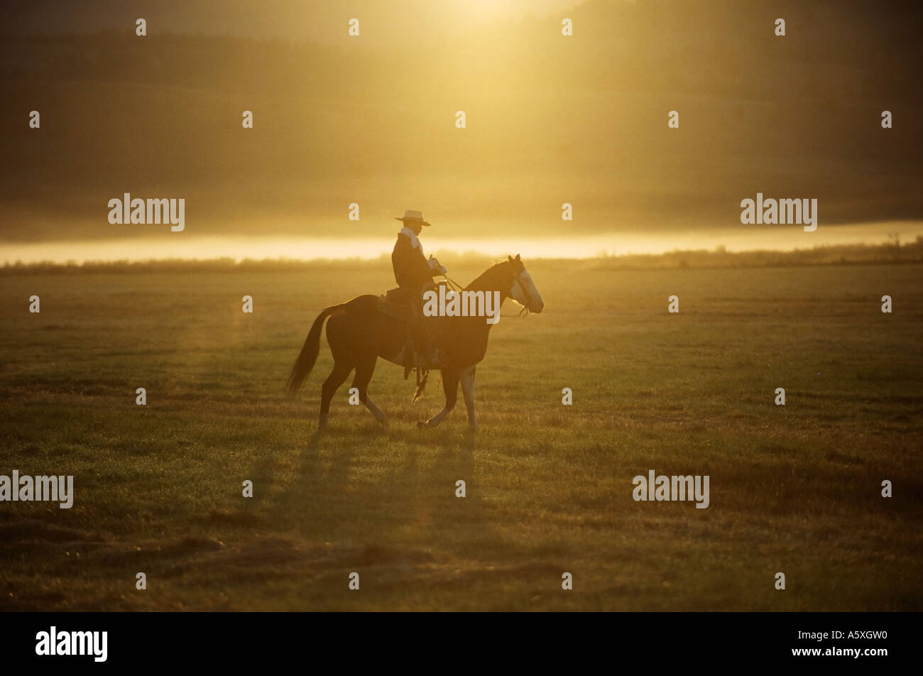 Cowboy à cheval au lever du soleil l'Oregon USA Banque D'Images