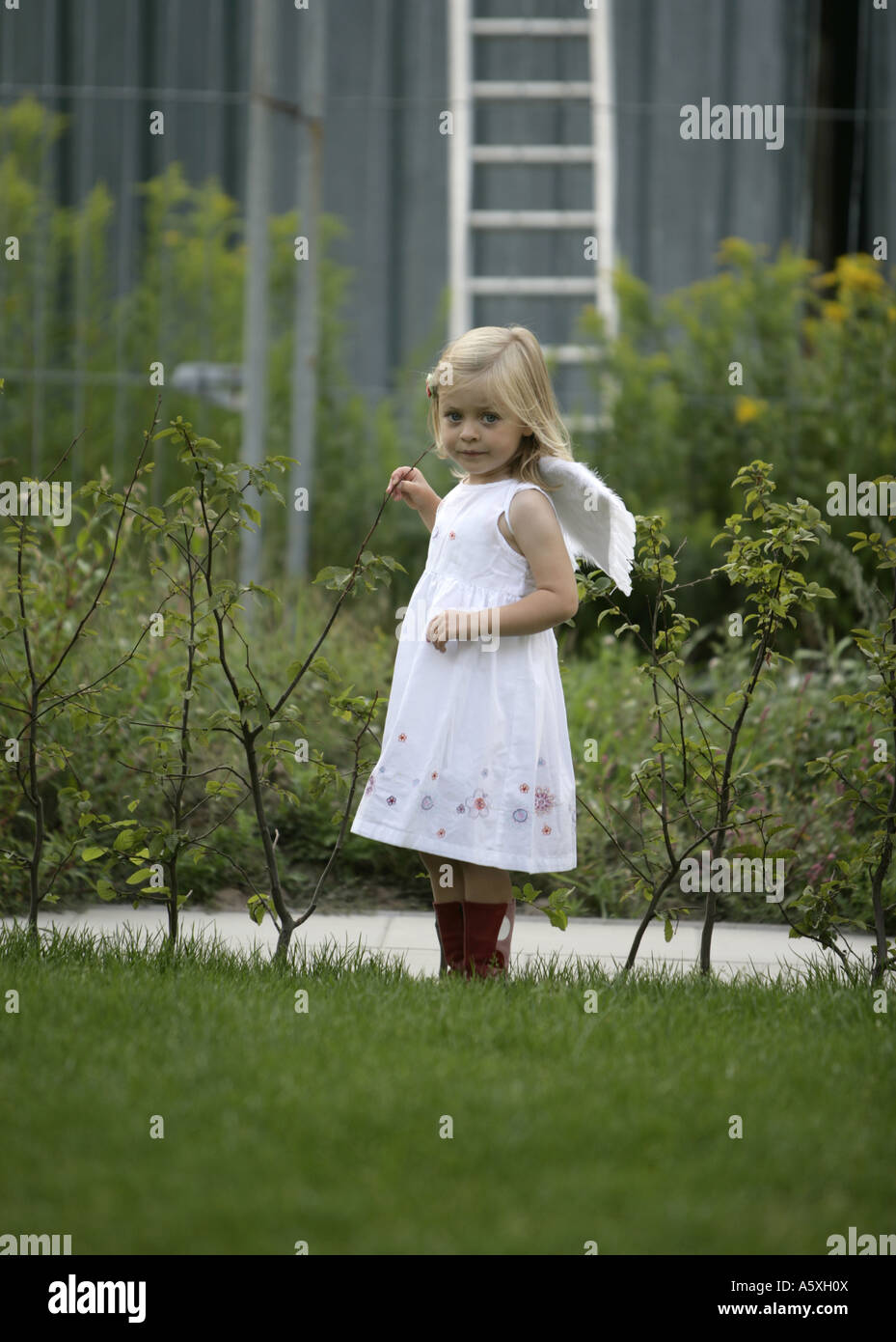 Angle peu Girl standing in garden Banque D'Images