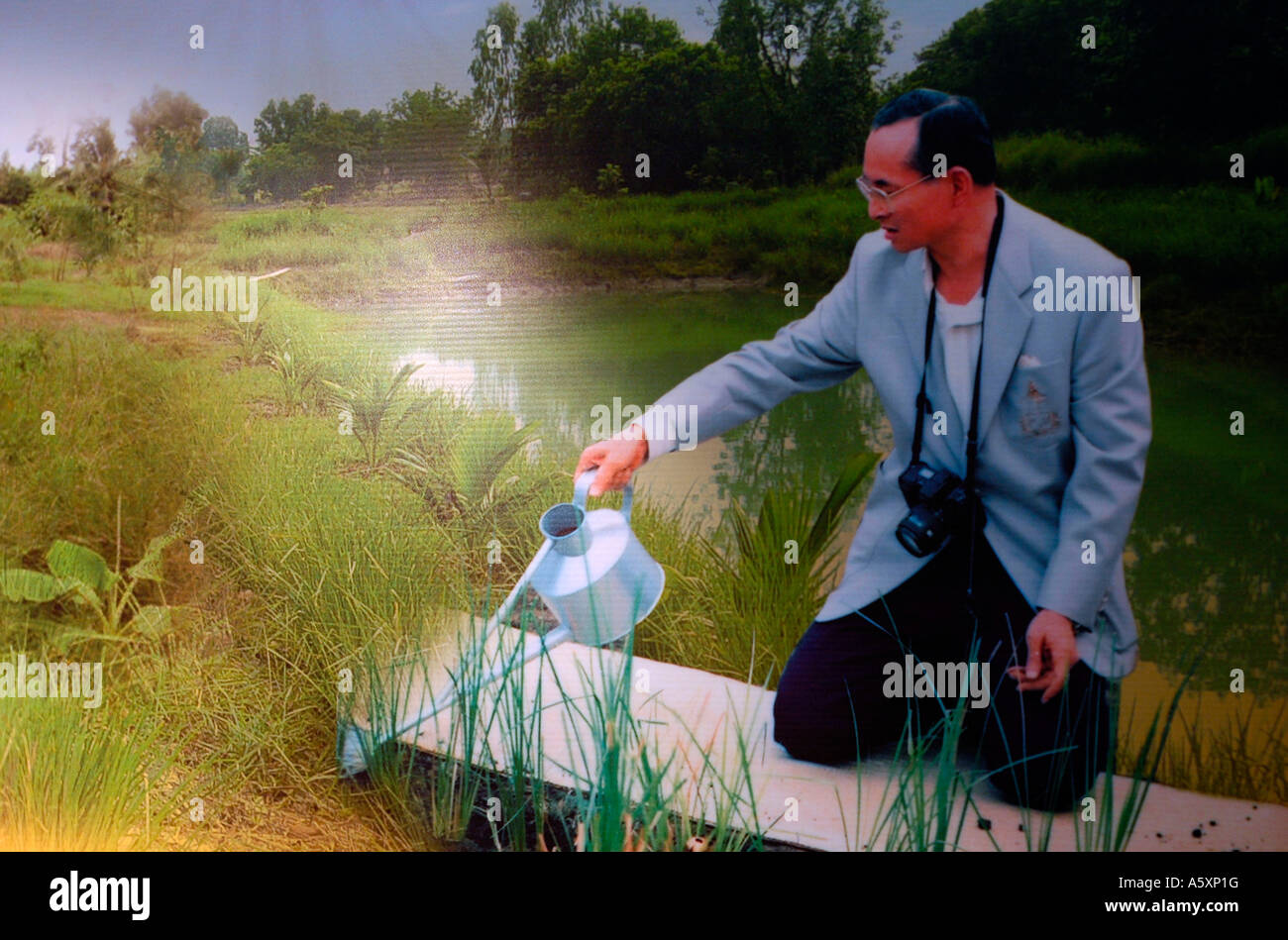 Un panneau montrant le Roi de Thaïlande, Bhumibol Adulyadej, développant des techniques d'irrigation pour son peuple. Banque D'Images