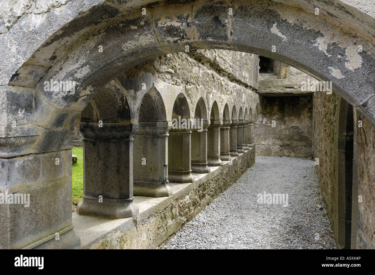 Cloître, Ross Errilly couvent franciscain, près de Headford, comté de Galway, Irlande Banque D'Images