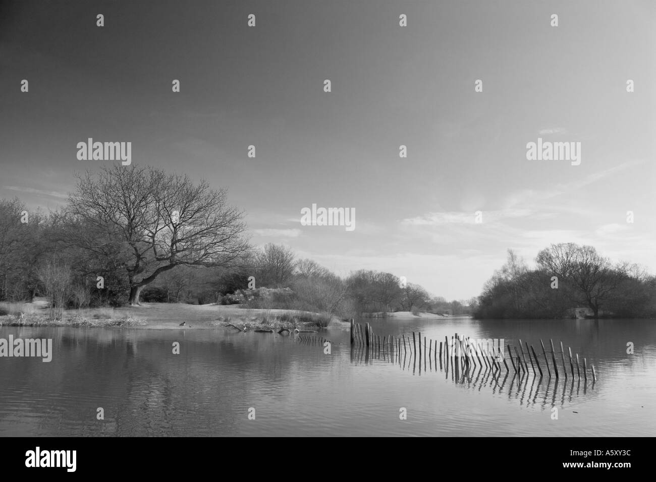 Vue sur lac calme en hiver avec une clôture en bois dans l'eau peu profonde Banque D'Images