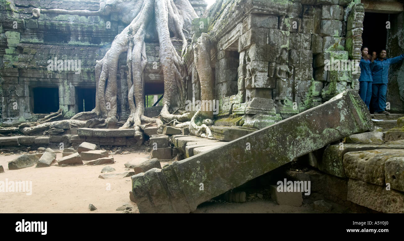 Ta Prohm , Cambodge Banque D'Images