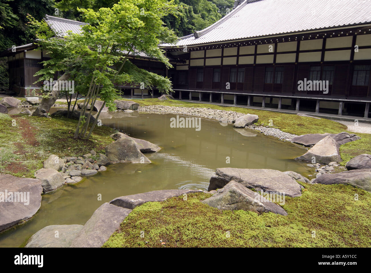 Étang et jardin au Temple Engakuji à Kamakura, près de Tokyo, Japon Banque D'Images