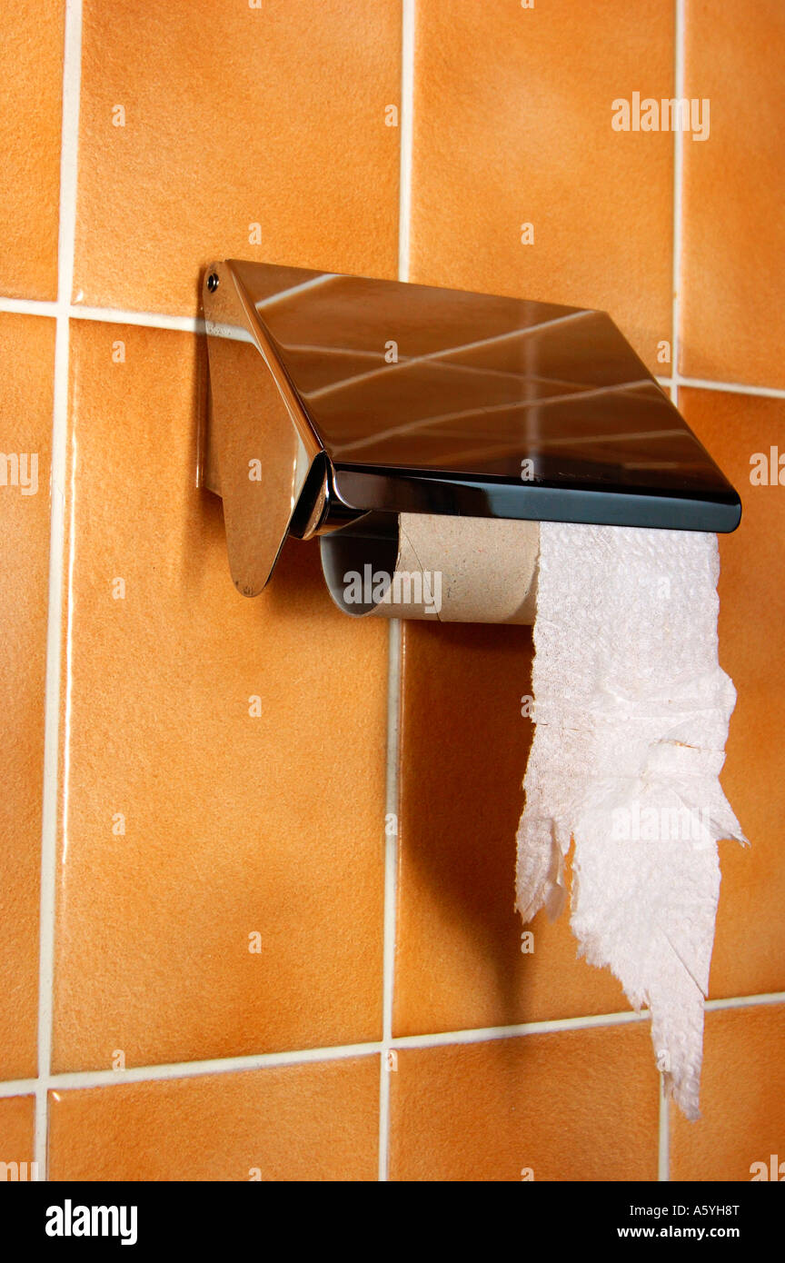 Un rouleau de papier toilette en termine avec juste un morceau de papier restant. Métaphore de la planification prospective Banque D'Images
