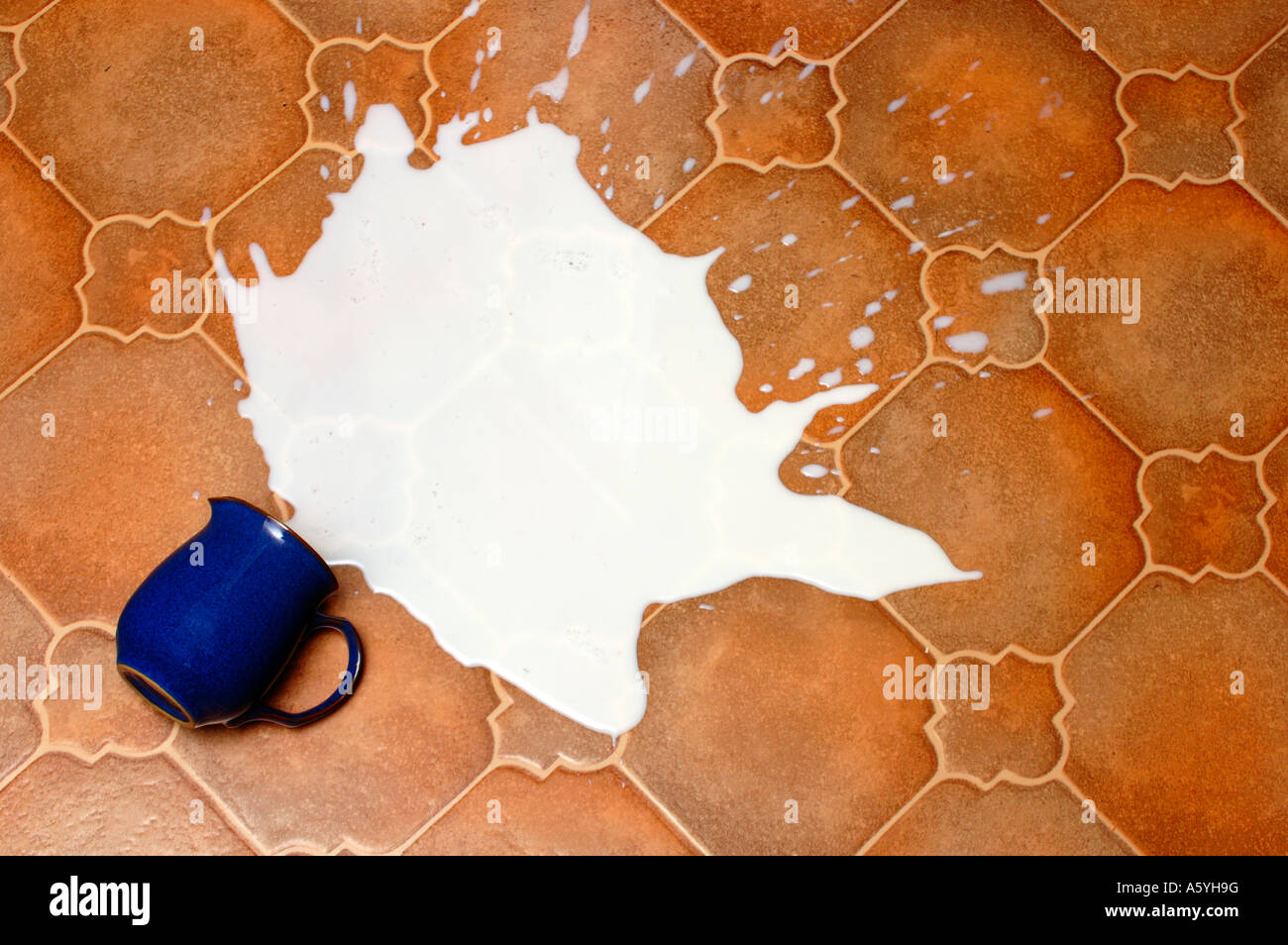Un pichet de lait renversé sur le plancher de la cuisine. Pas d'utilisation de pleurer sur elle. Banque D'Images Un pichet de lait renversé sur le plancher de la cuisine. Pas d'utilisation de pleurer sur elle. Banque D'Images