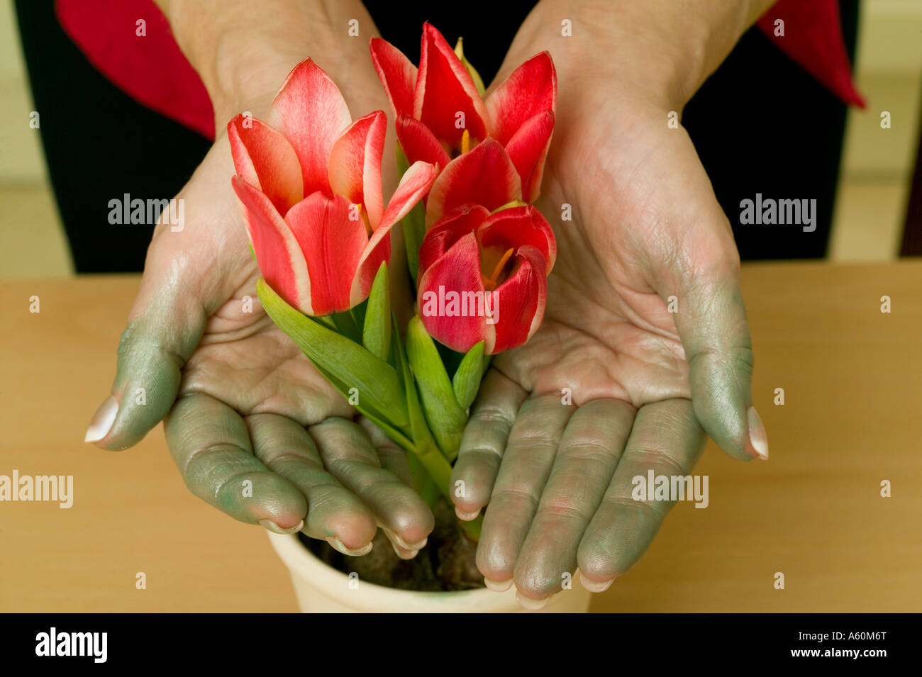 Femme avec les doigts verts détient fleurs Banque D'Images