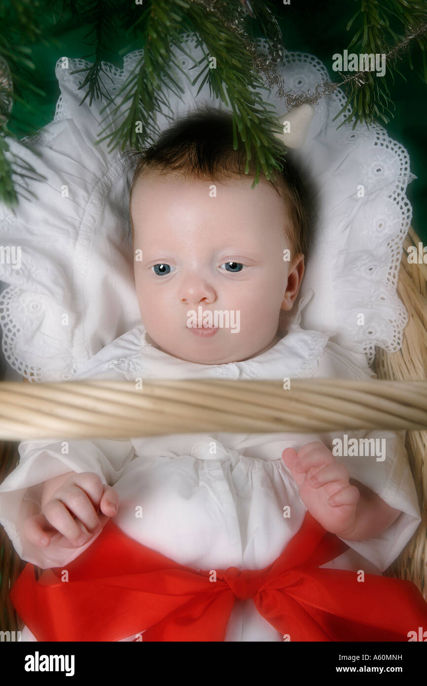 Bébé DANS UN PANIER SOUS L'ARBRE DE NOËL Banque D'Images