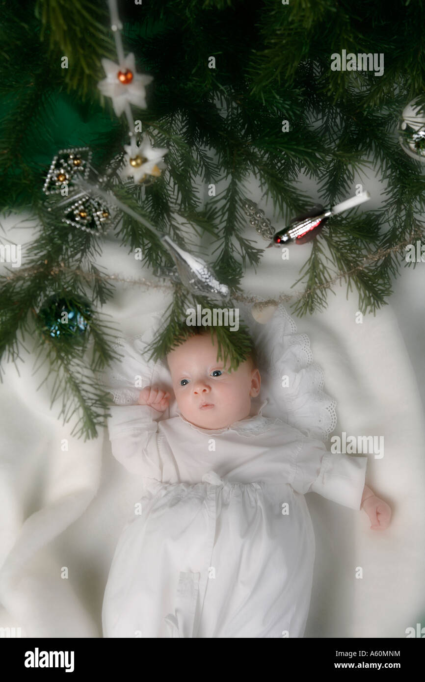 Bébé DANS UN PANIER SOUS L'ARBRE DE NOËL Banque D'Images