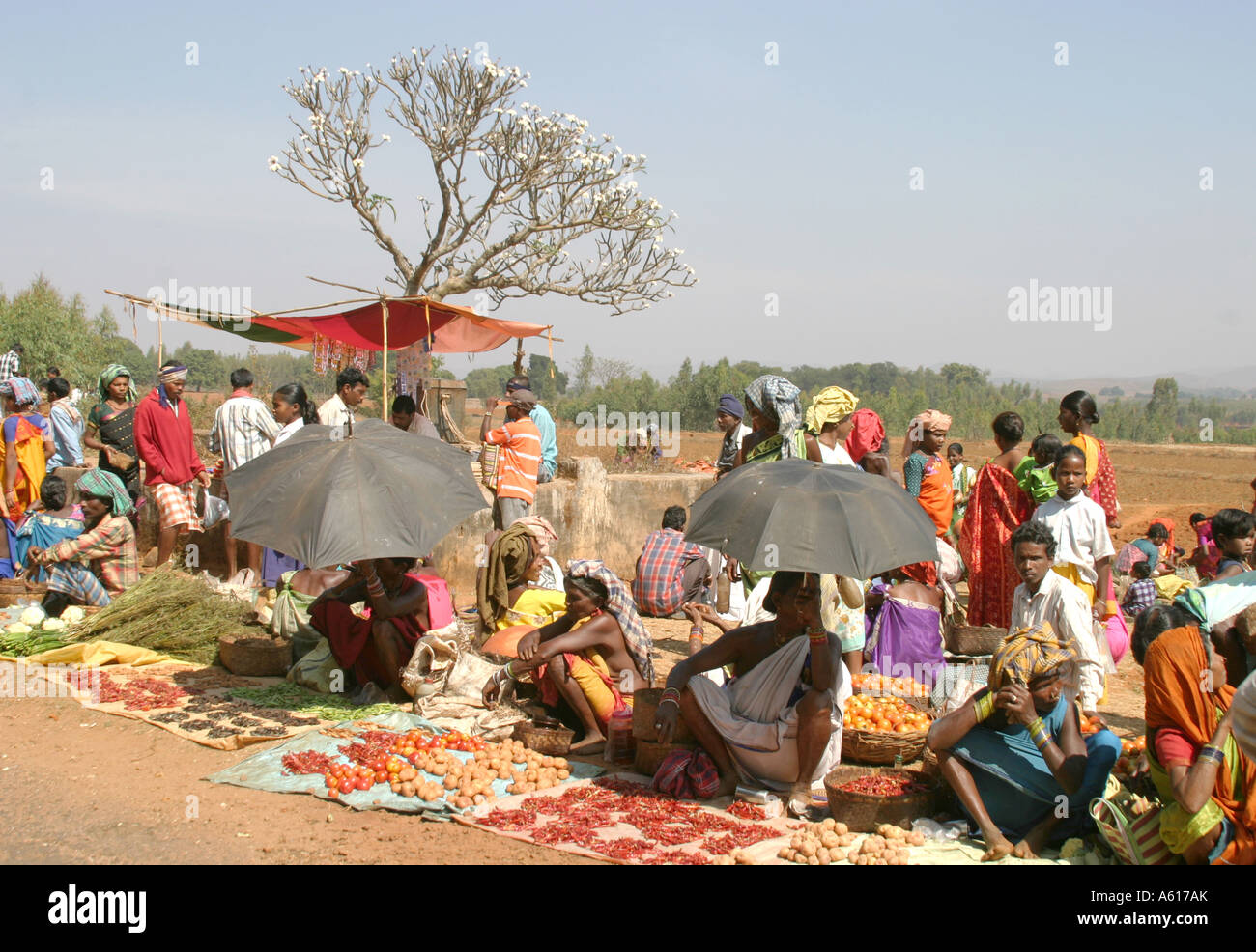 Wommens hebdomadaire marché de troc du Desia Paraja et Mali tribus d'Orissa en Inde du Sud Banque D'Images