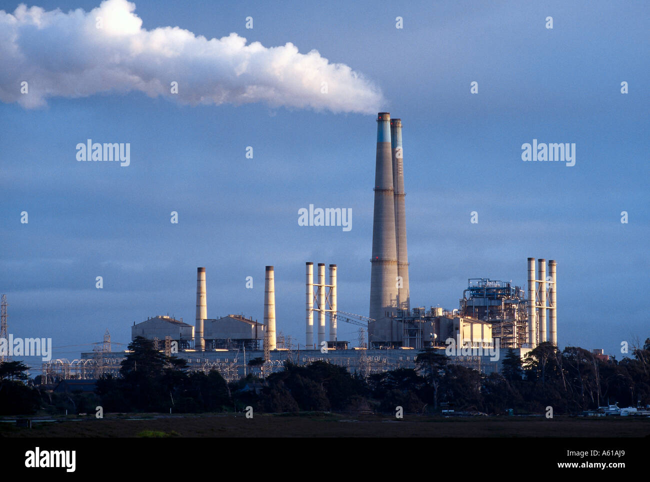 Les cheminées de fumée émettant, Castroville, comté de Monterey, Californie, États-Unis Banque D'Images